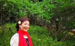 极品人妻系列 合集